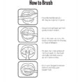 11 Dental Health Activity Sheets Oral Health Made Easy