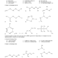 12 U Organic Chemistry Worksheet  3 – Organic Functional Group