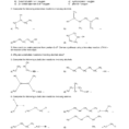 12 U Organic Chemistry Worksheet  4 – Organic Functional Group