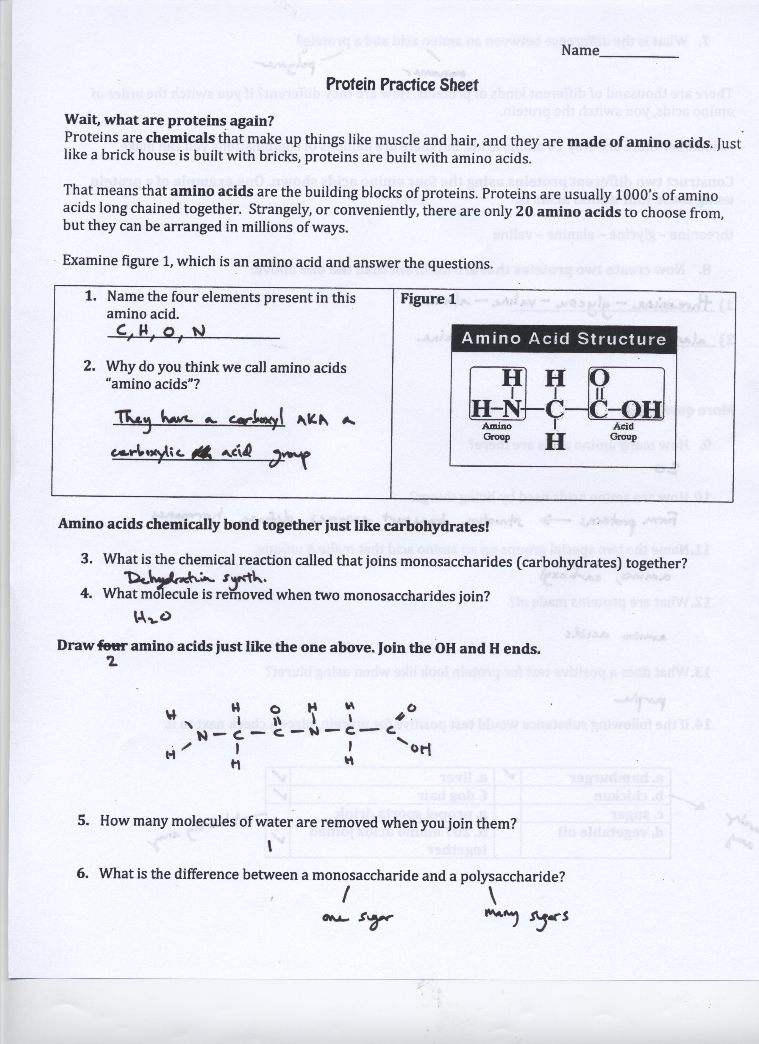 biochemistry-basics-worksheet