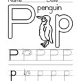 14 Constructive Letter P Worksheets  Kittybabylove