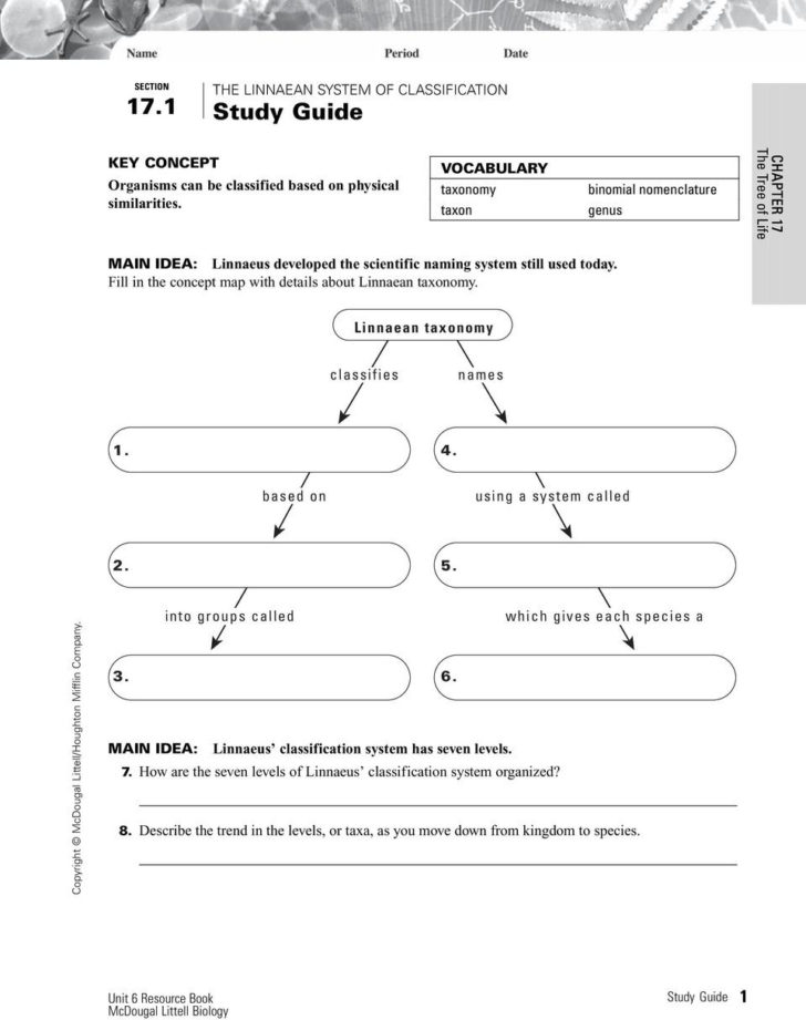 Taxonomy Worksheet Biology Answers