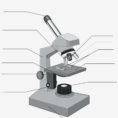 18 Light Labeled Light Microscope
