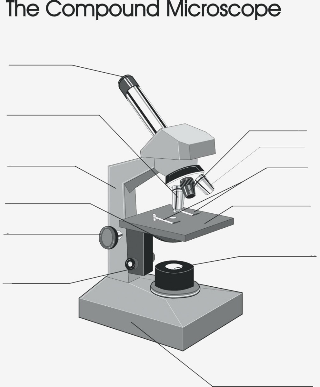 18 Light Labeled Light Microscope