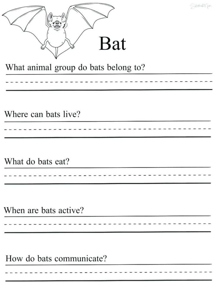 1St Grade Science Worksheets To Print  Math Worksheet For Kids