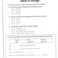 1St Grade Social Studies Worksheets For Download  Math