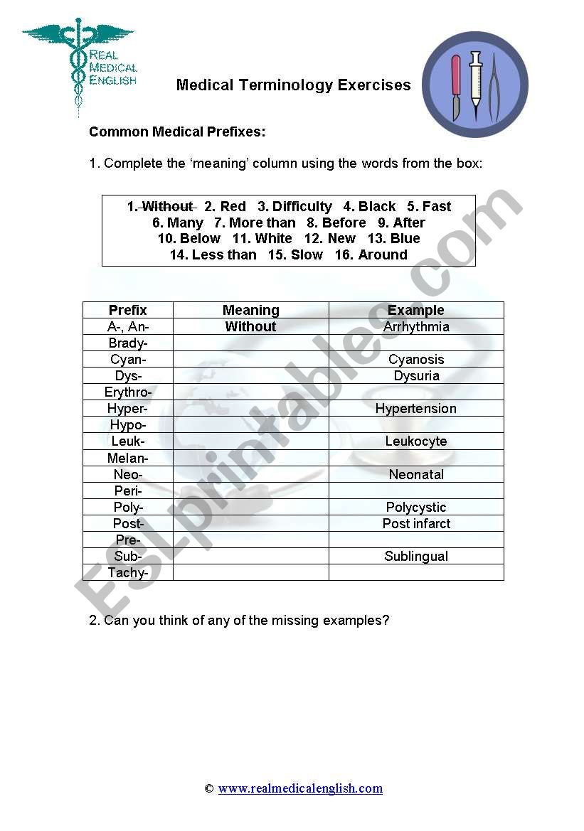 2 Medical Terminology  Prefixes  Esl Worksheet