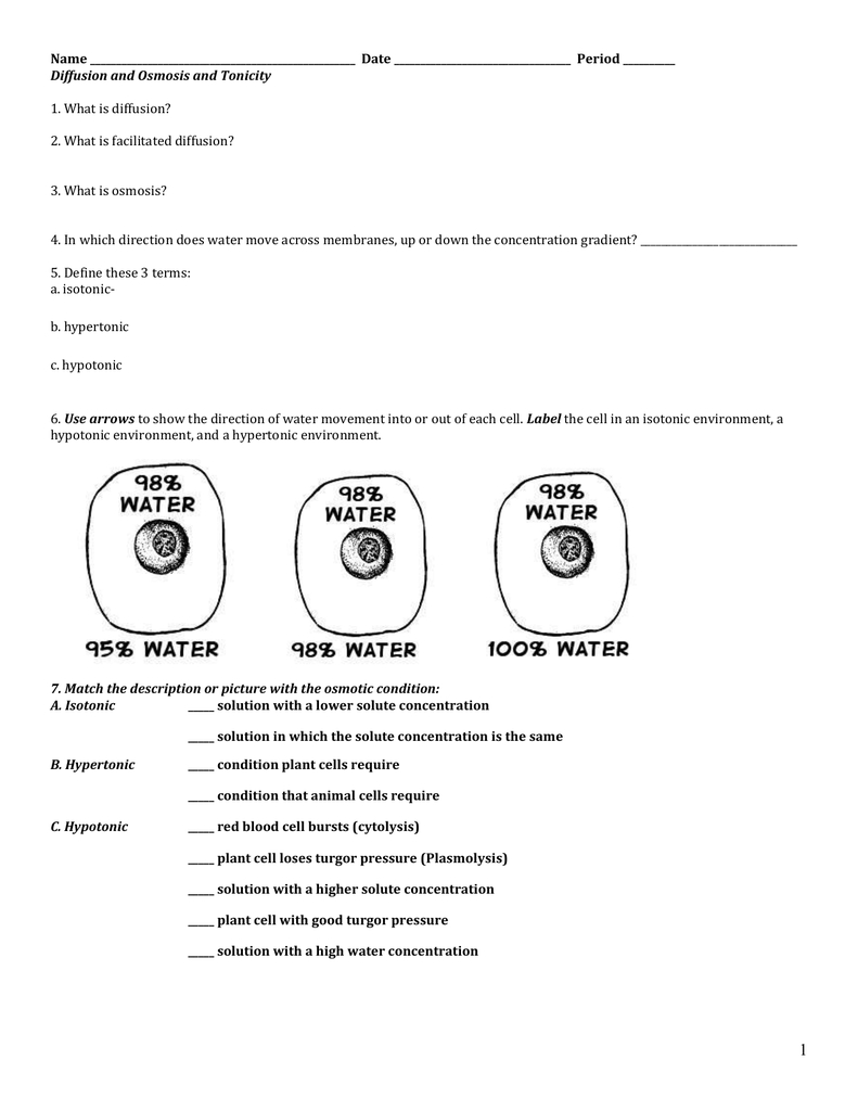 Osmosis And Tonicity Worksheet