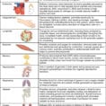 205 Circulatory Pathys – Anatomy And Physiology