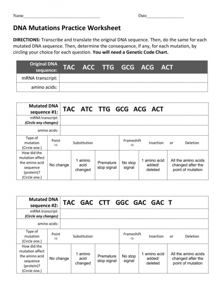 22 Properties Of Ter Worksheet Answers  Scriptclub