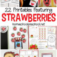 22 Strawberry Printable Worksheets For Preschoolers
