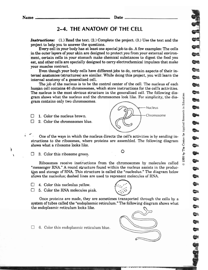 The Center For Applied Research In Education Worksheets Answers
