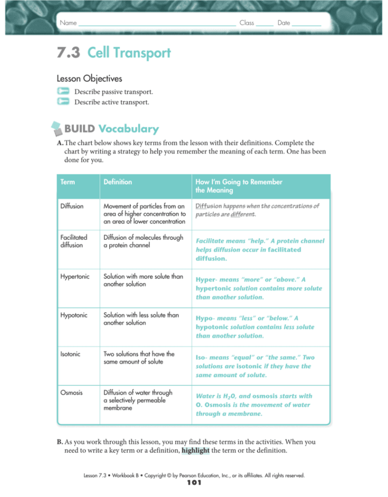 249883860Biology73And74Wskey