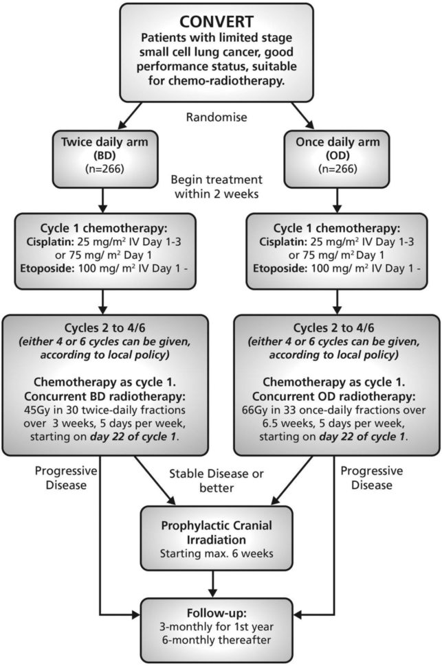 28 Limiting Ernment Worksheet Answers  Louboutinsoldes
