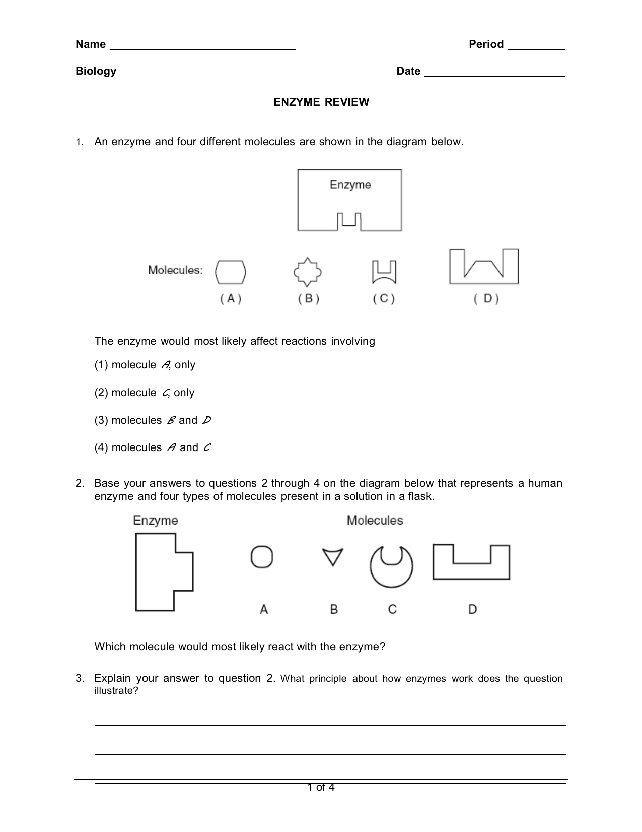 2E Enzyme Review Worksheet 1