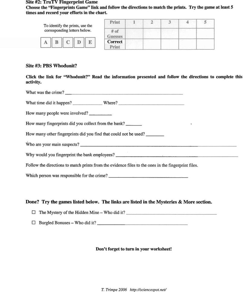 3  Arches Are The Simplest Type Of Fingerprints
