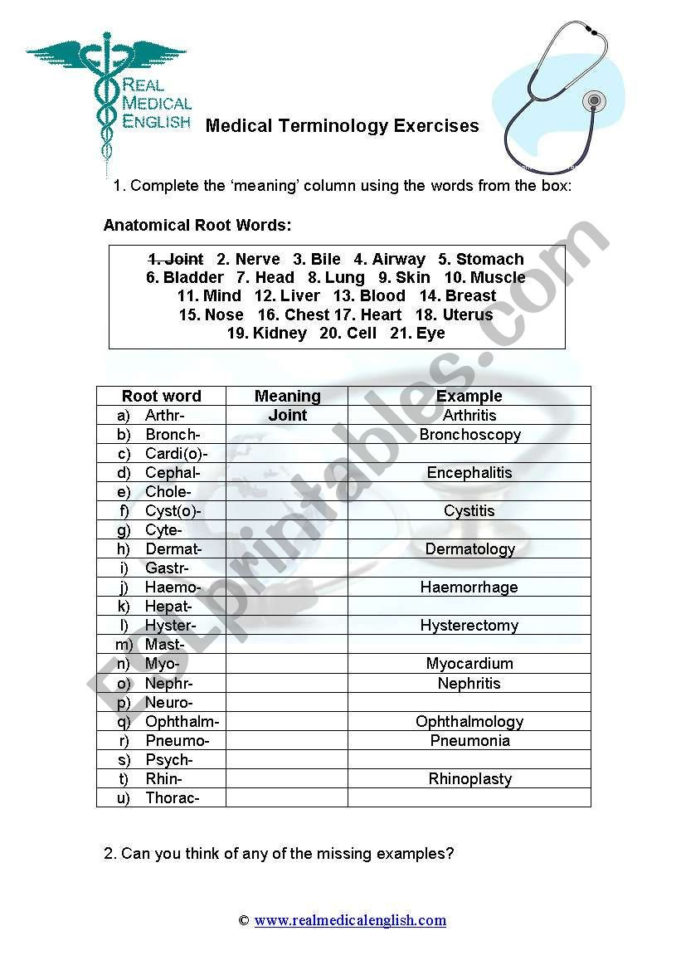 3 Medical Terminology  Root Words  Esl Worksheet