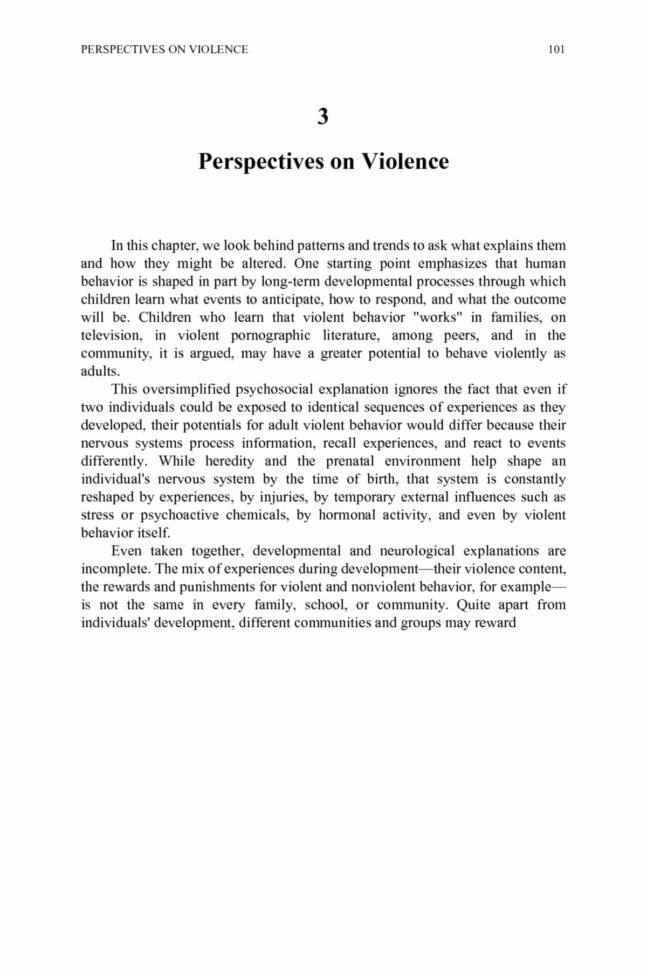 3 Perspectives On Violence  Understanding And Preventing