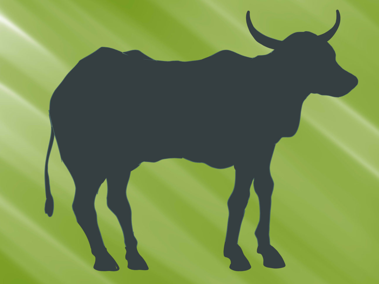 3 Ys To Become A Dairy Show Judge  Wikihow