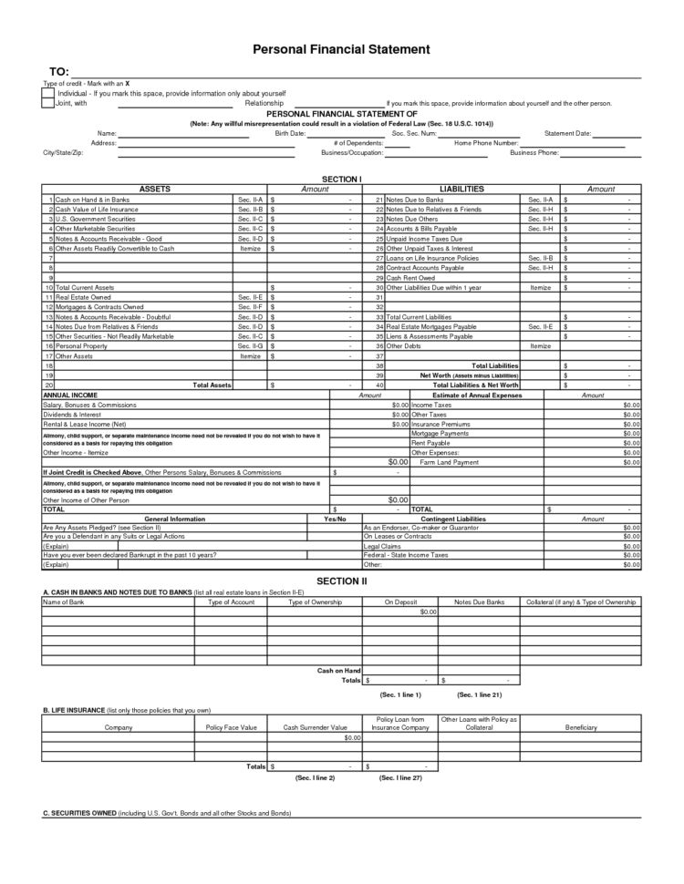 30 Images Of Blank Personal Financial Statement