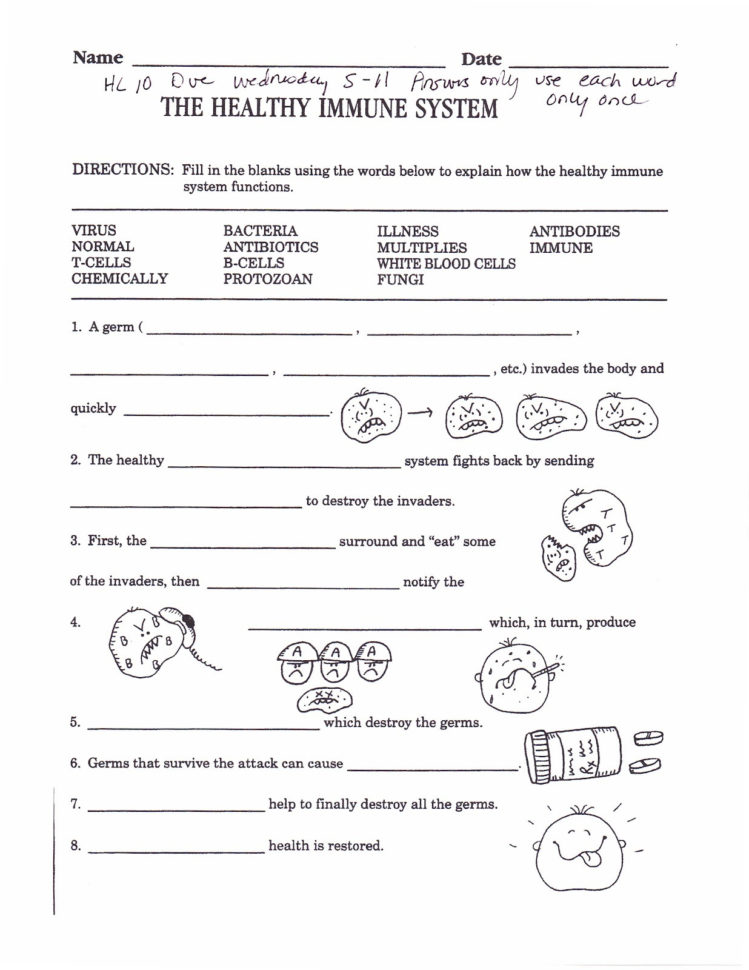 30 Immune System Worksheet – Balancing Equations Worksheet