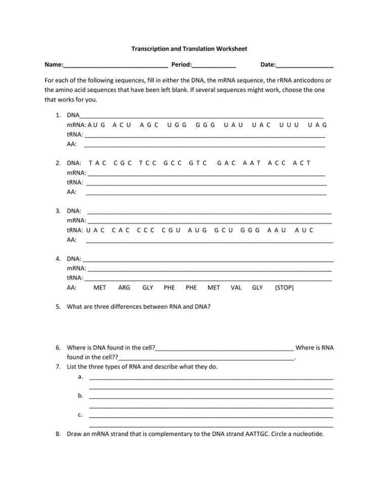 31 Transcription And Translation Worksheet