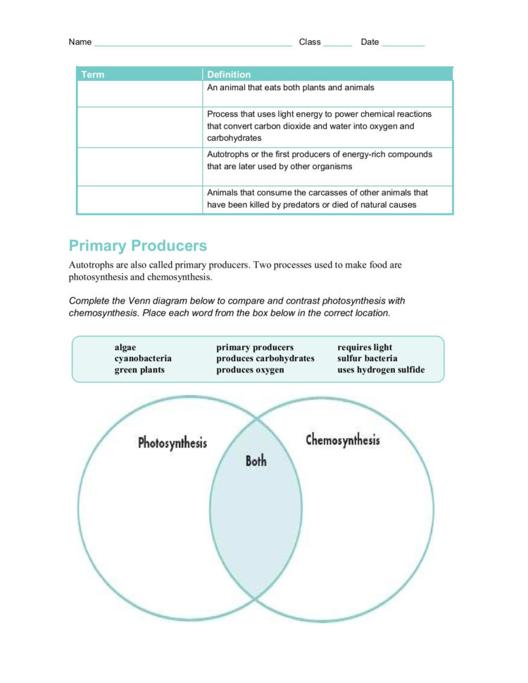 32 Energy Producers And Consumers  Isd2135K12Mn