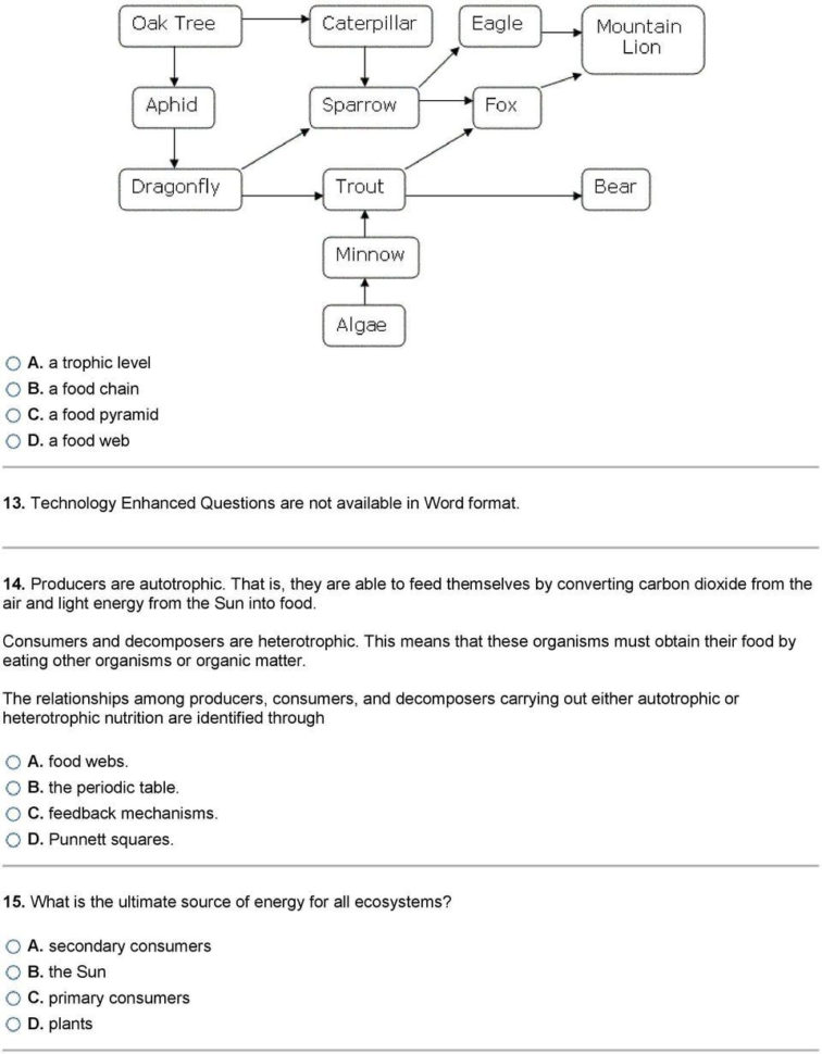 32 Energy Producers And Consumers Worksheet Answer Key