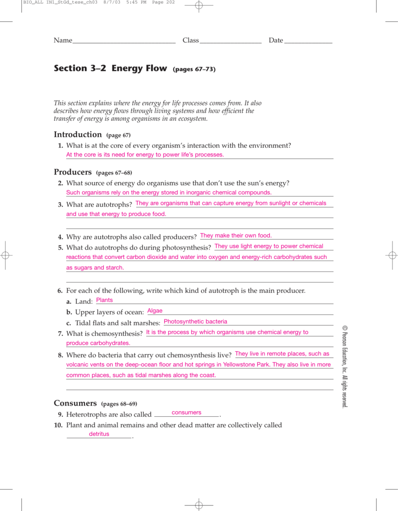 3-2-energy-producers-and-consumers-worksheet-answer-key-db-excel