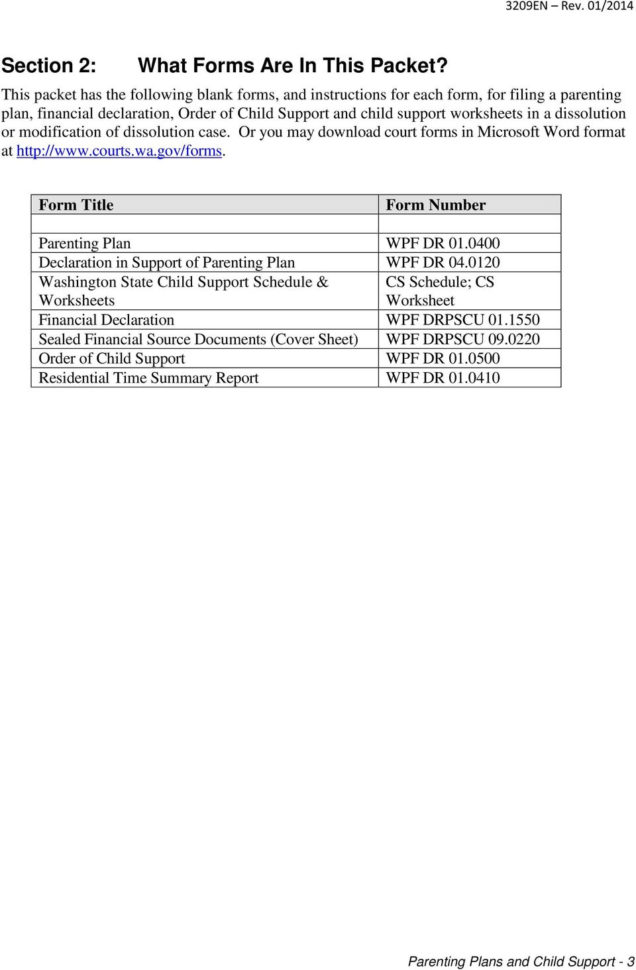 3209En  Parenting Plans And Child Support For Dissolution