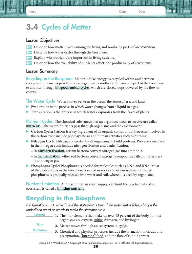 3-3-cycles-of-matter-worksheet-answers-db-excel