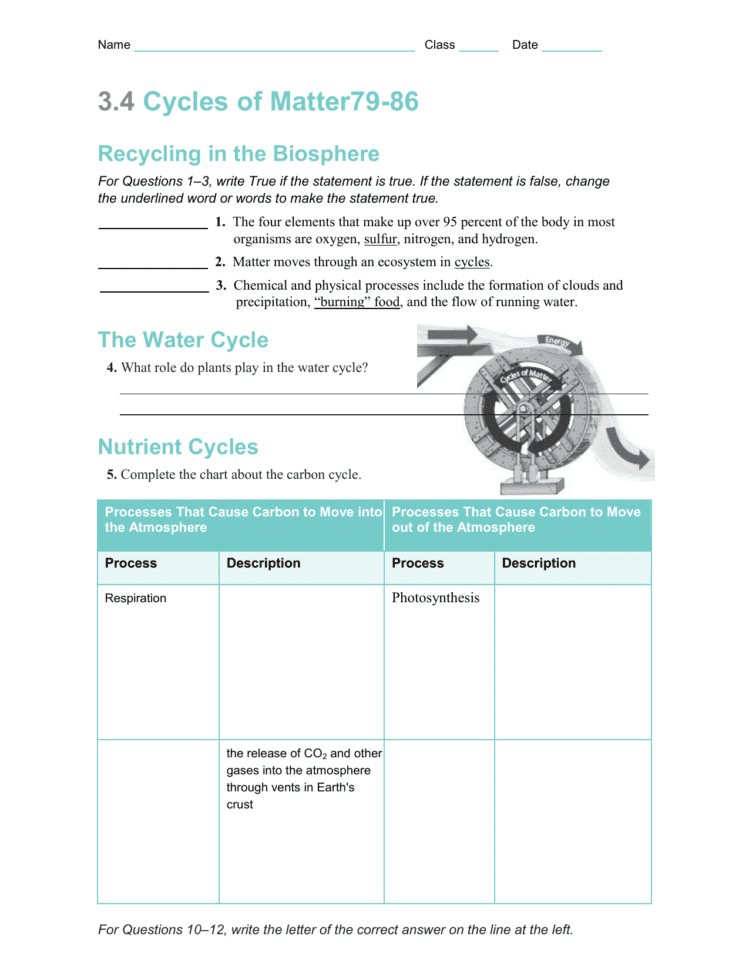 34 Cycles Of Matter7986 Recycling In The Biosphere