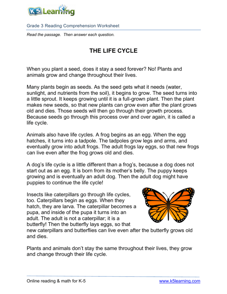 3Rdgrade3Readinglifecycle