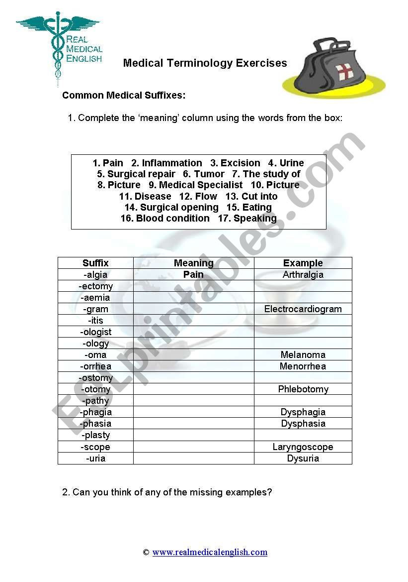 4 Medical Terminology  Suffixes  Esl Worksheet