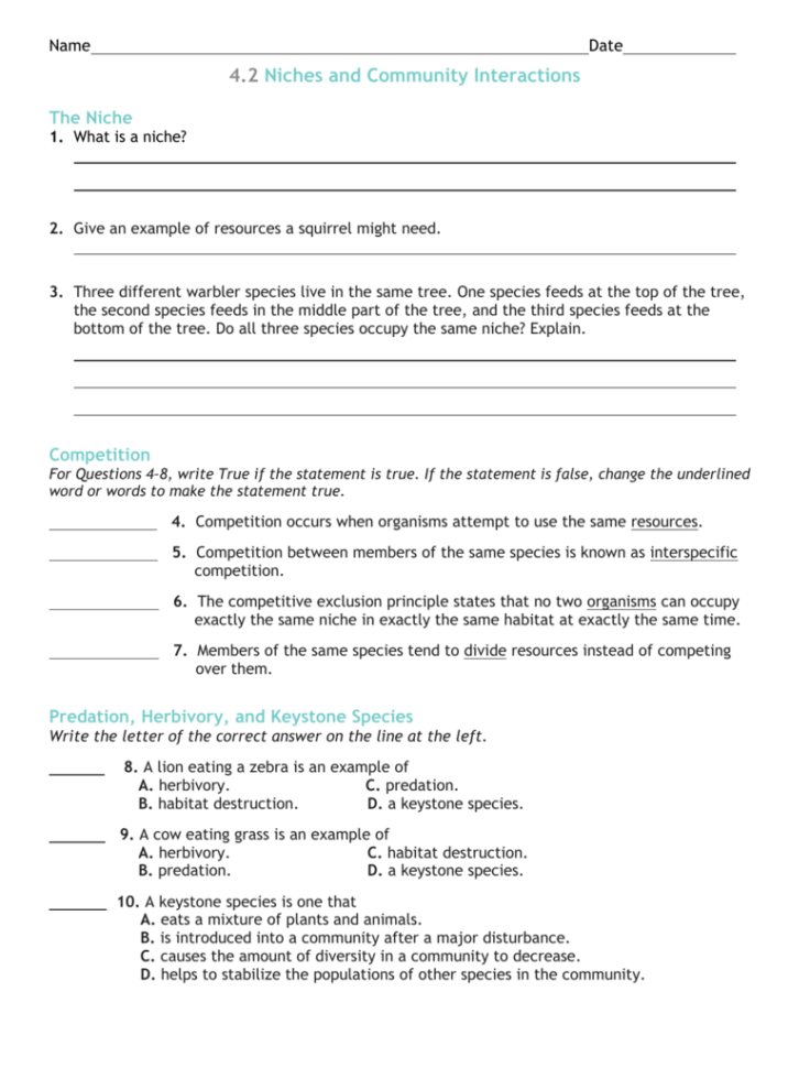 4 Review Worksheet