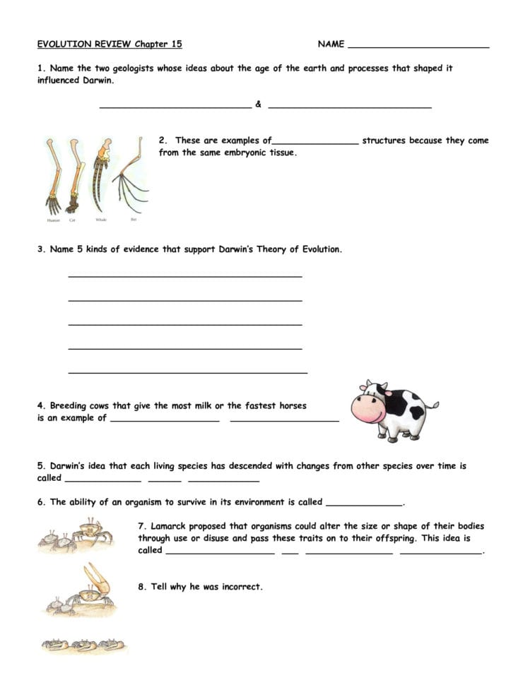 49 What Darwin Never Knew Video Worksheet Exploratorium