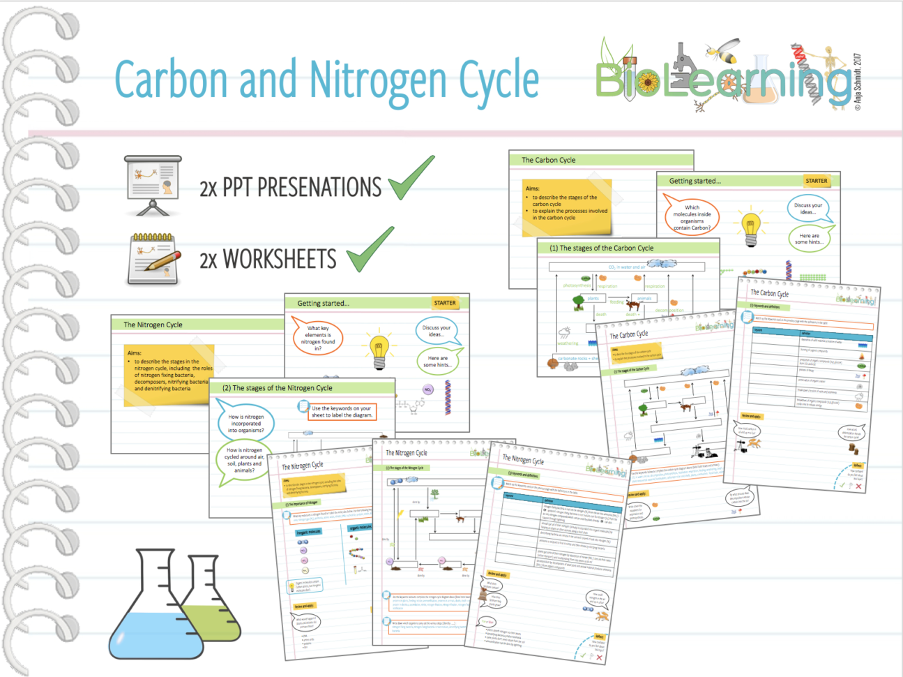 4X Carbon And Nitrogen Cycle  2X Powerpoint Ppts And 2X Worksheets  Ks3Ks4
