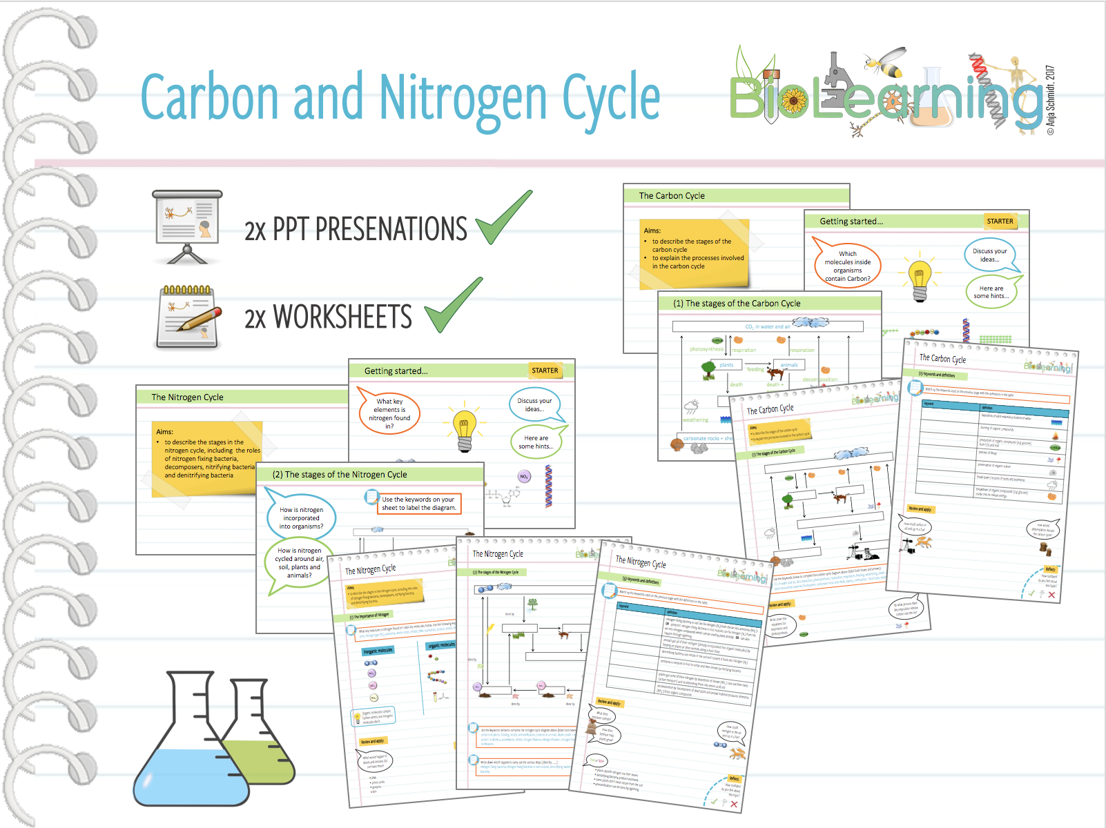 water-carbon-and-nitrogen-cycle-worksheet-db-excel
