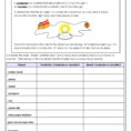 5 Science Worksheets  For Students  Pdf