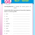 51 English Grammar Worksheets  Class 3 Instant Downloadable