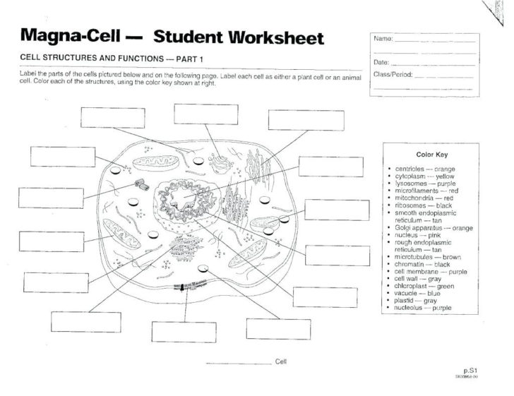5Th Grade Science Coloring Sheets ??? Crunchprintco ??? db-excel.com