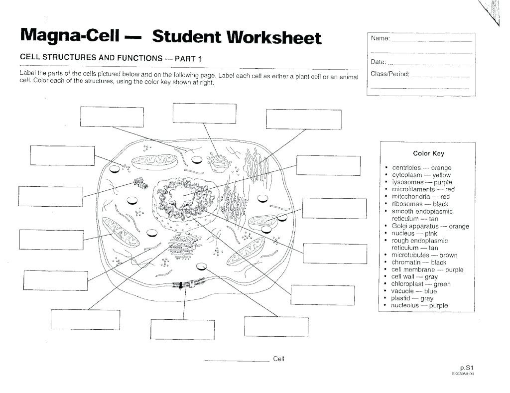 Label Plant Cell Worksheet