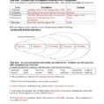 5Th Grade Science Worksheets With Answer Key