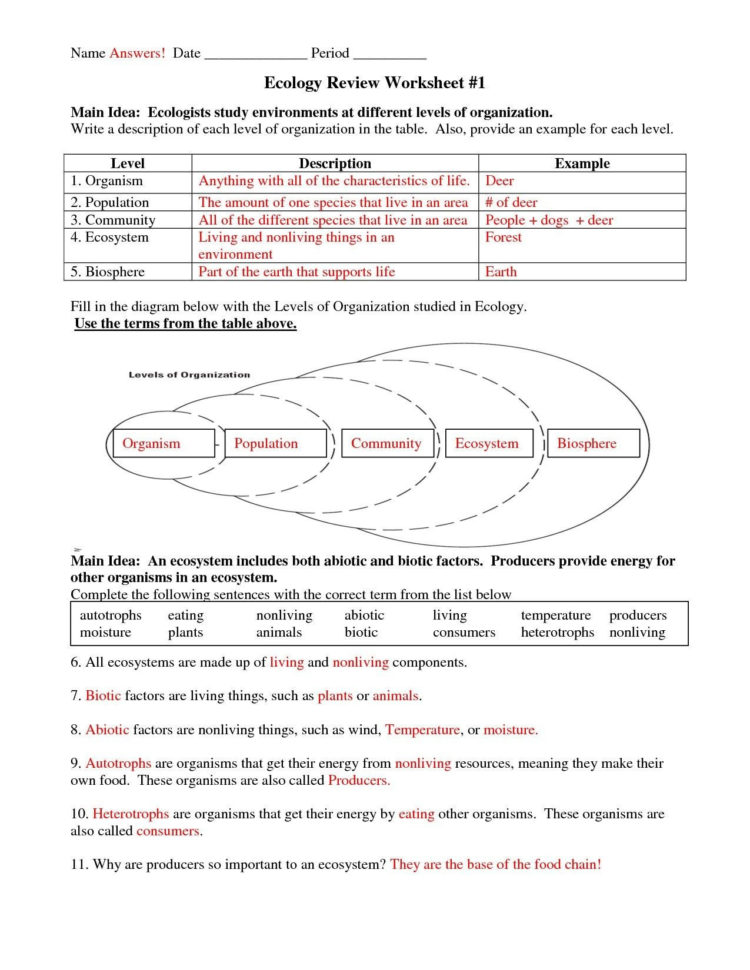 5Th Grade Science Worksheets With Answer Key