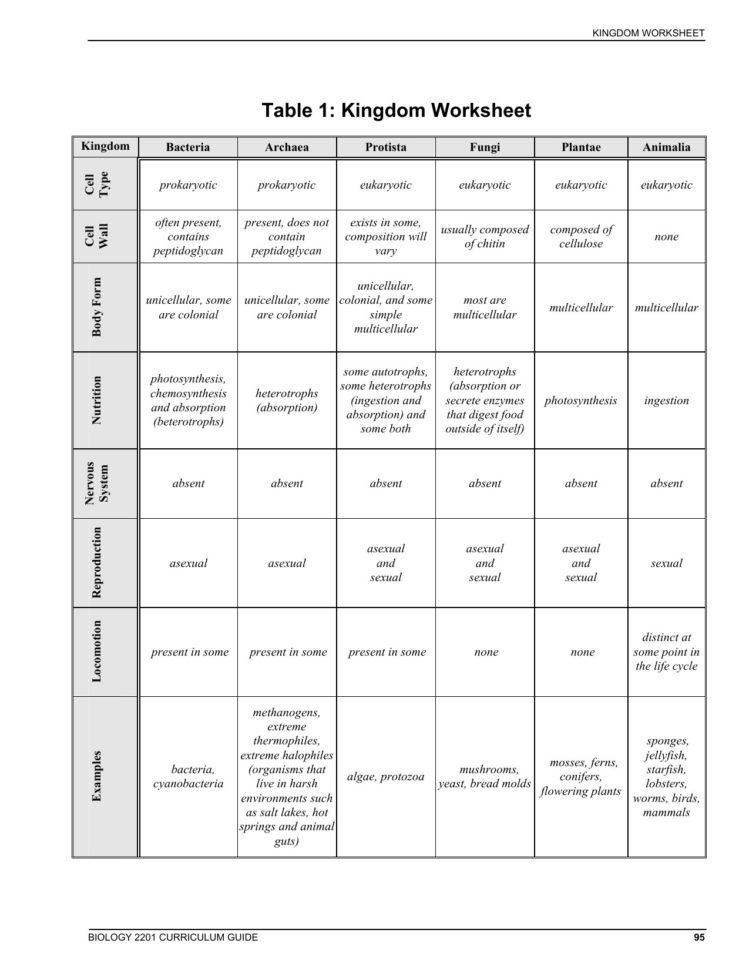 6 Kingdoms Worksheet Worksheet Kingdom Classification