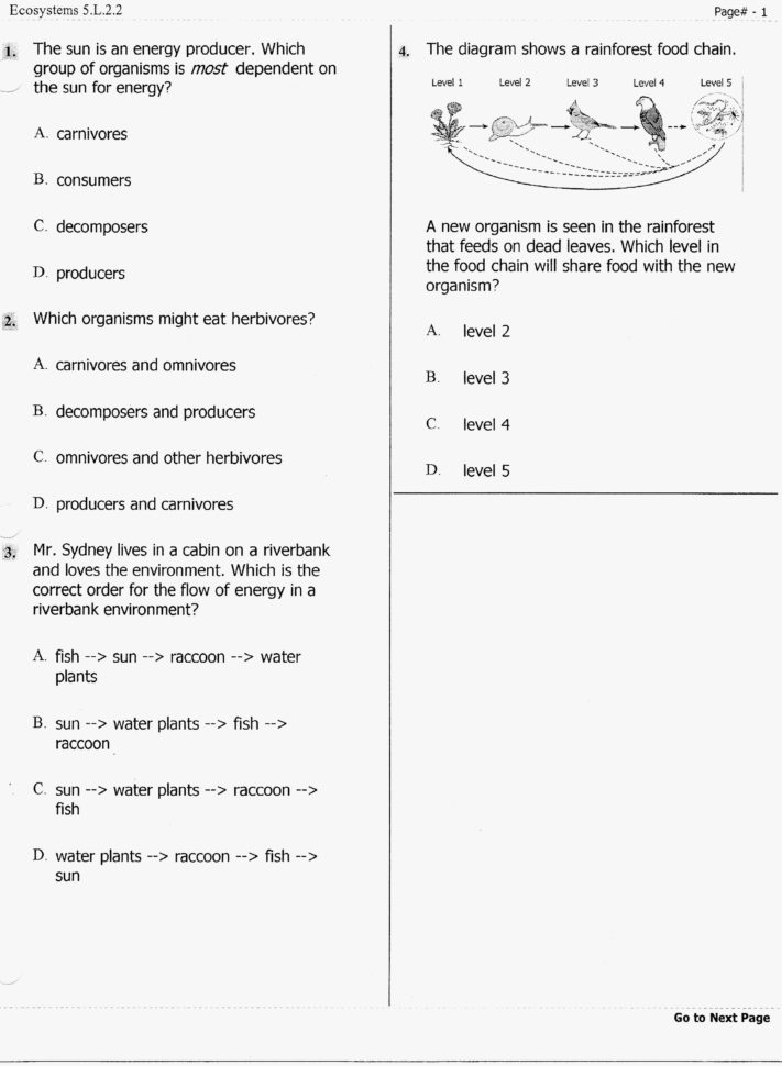 65 New Of Glamorous Producers Consumers And Decomposers