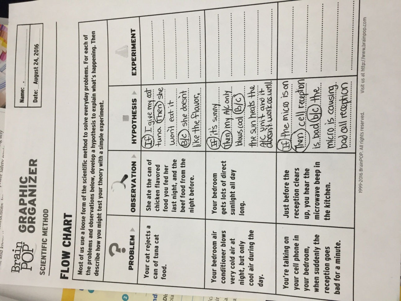 70 You Will Love Immune System Flowchart Worksheet
