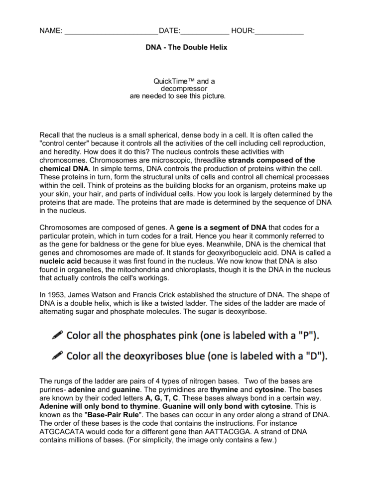 716Dna Worksheet