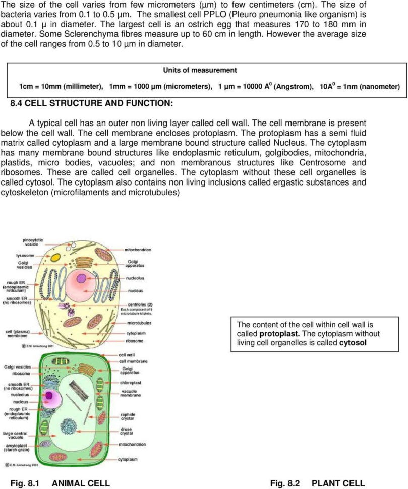 72 Cell Structure Worksheet Answer Key