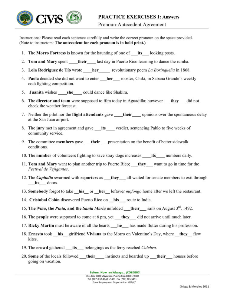 9 Pronoun Antecedent  Pdf